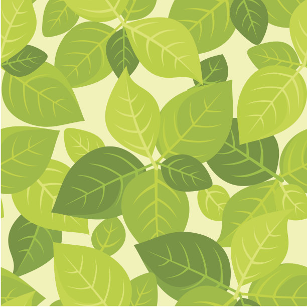 无缝背景与绿色的叶子。矢量插图。图片下载