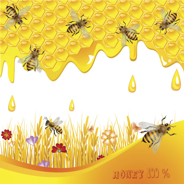 花背景与蜂蜜图片下载