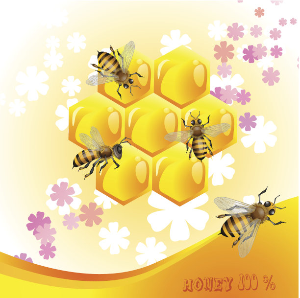 花背景与蜂蜜图片下载