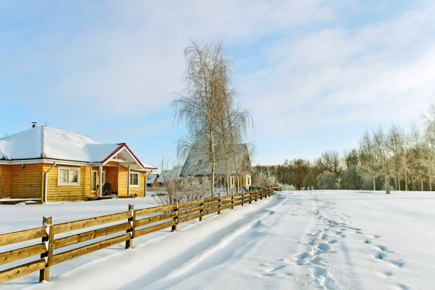 冬天。图片下载