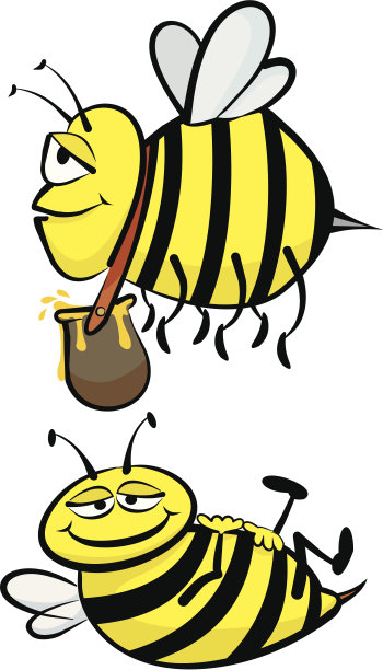 勤劳懒惰的蜜蜂图片下载
