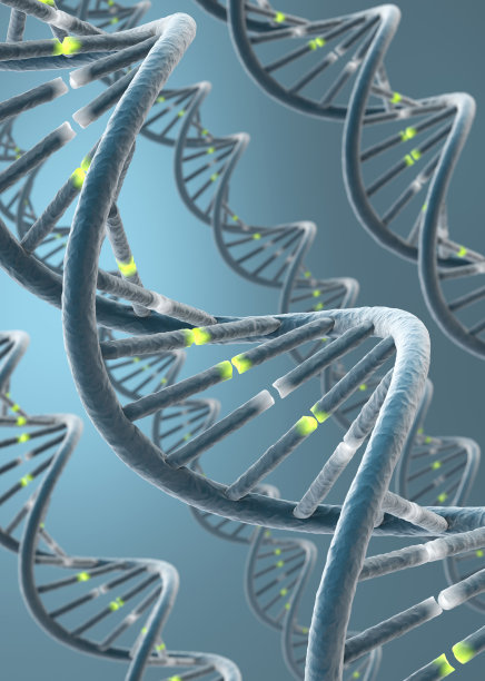 脱氧核糖核酸链图片下载