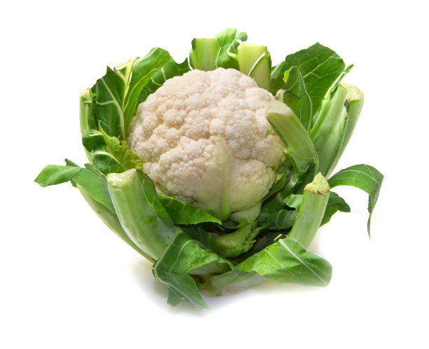 花椰菜在白色的背景图片下载