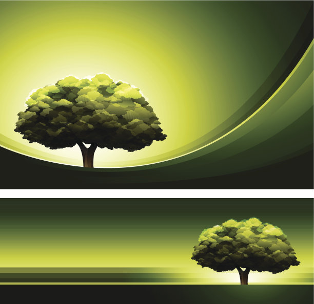 橡树的背景图片下载