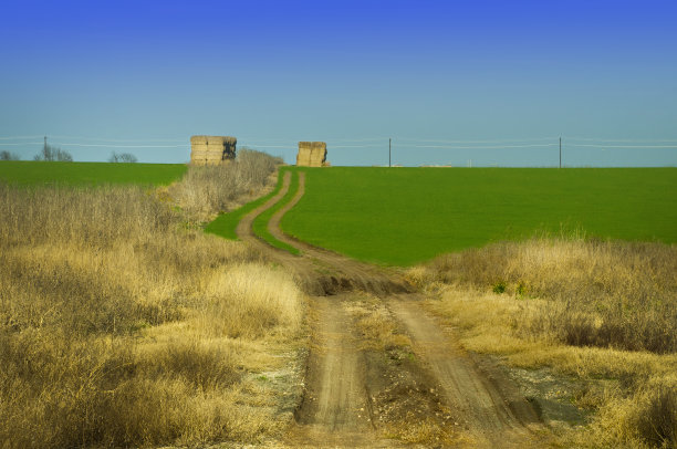 德克萨斯州有图片下载