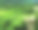 斯里兰卡照片素材ID：105386842
