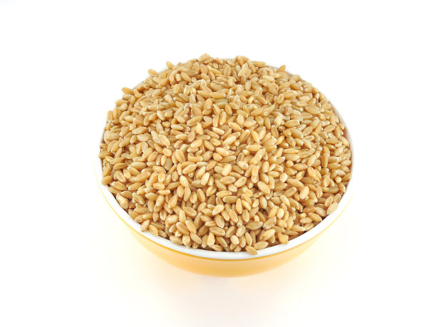 碗里的小麦图片下载