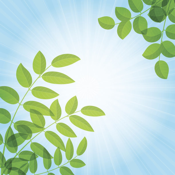 背景,树叶图片下载