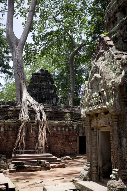 塔普罗姆图片下载