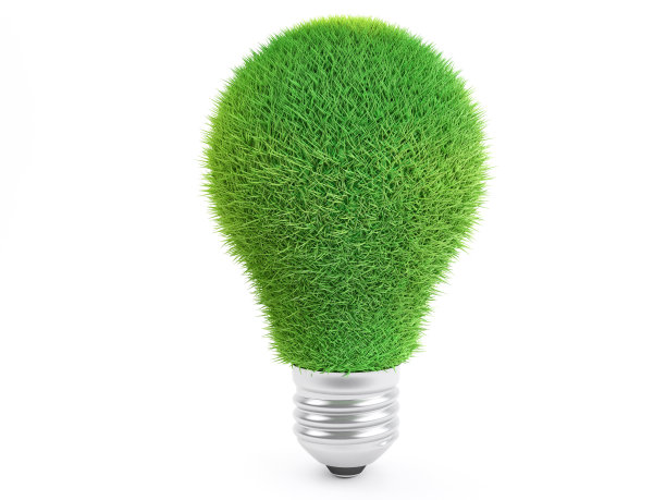 覆盖着草的灯泡图片下载