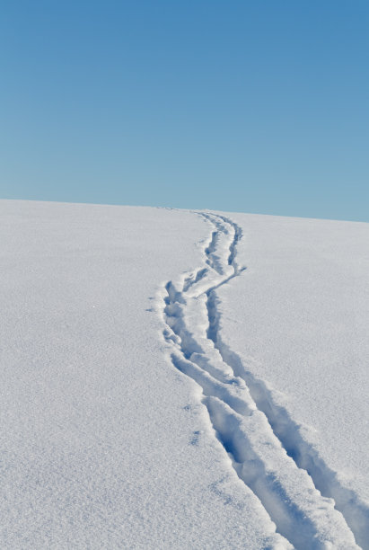 滑雪赛道图片下载