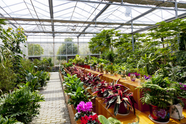 花园中心的温室图片下载