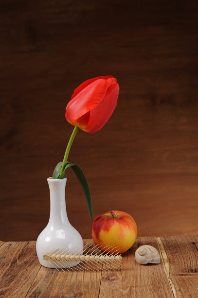 花瓶里的郁金香图片下载