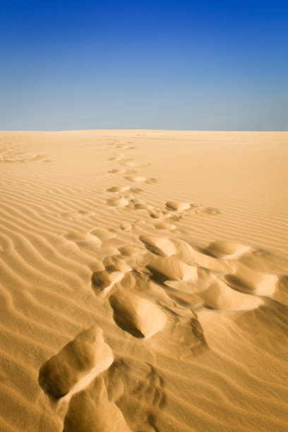 沙丘沙漠的脚印图片下载