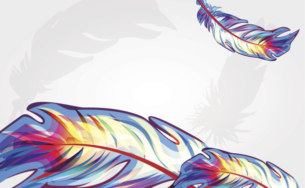 鲜艳的羽毛图片下载