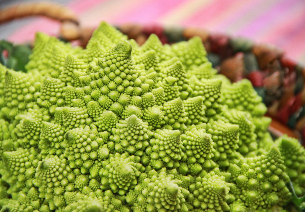 罗马斯科花椰菜图片下载