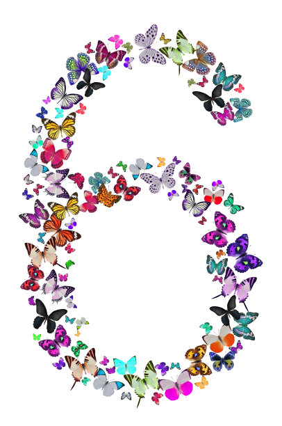 第六组由蝴蝶组成图片下载