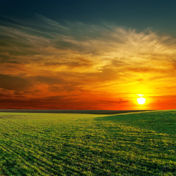 美好的日落和绿色的草地图片下载