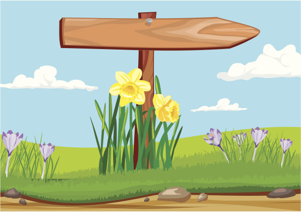 清晨-木制路标图片下载