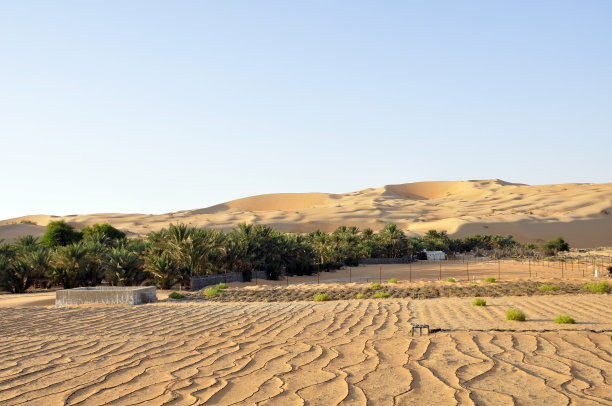在沙丘下耕作，里瓦图片下载