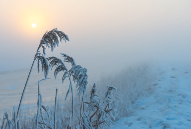 冬天黎明时分结冰的白雪皑皑的运河图片下载