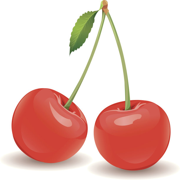 绿色叶子的樱桃浆果图片下载