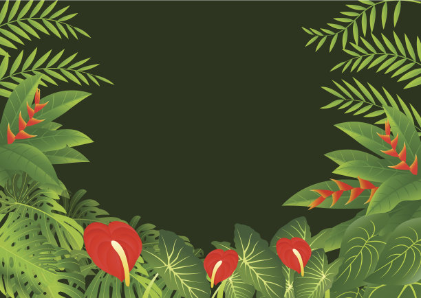 热带叶背景图片下载