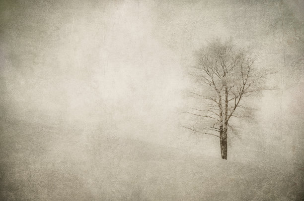 冬季景观的垃圾图像图片下载