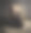 穿着黑色连衣裙的妇女坐在古典椅子上图片下载