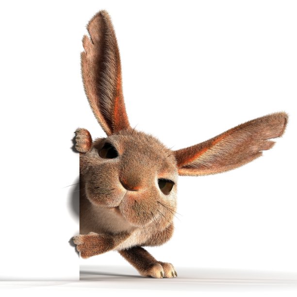 兔子。指责素材图片