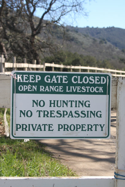 不，你不能过去图片下载