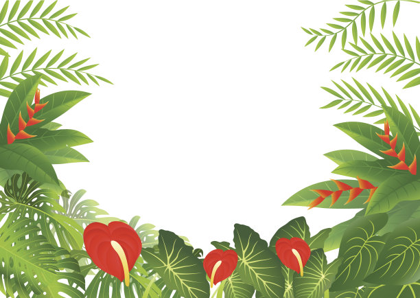 热带叶背景图片下载