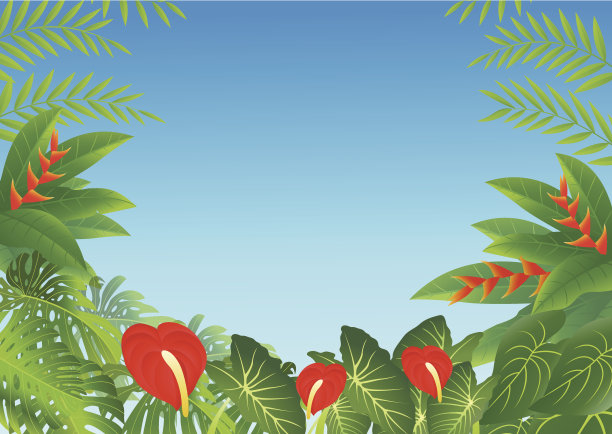 热带叶背景图片下载