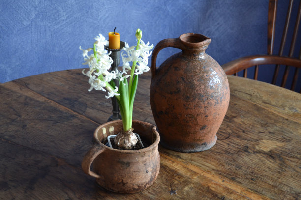 风信子图片下载