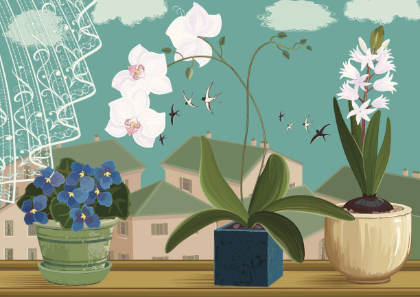 房间的花图片下载