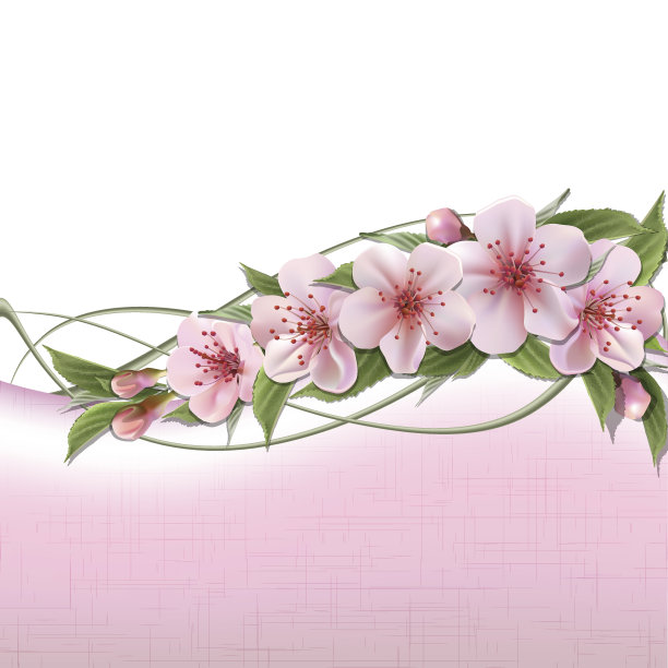 春天的背景是粉红色的樱花图片下载