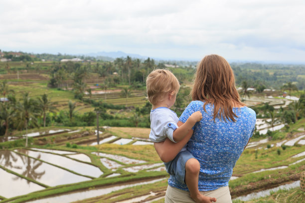 一家人看着稻田图片下载