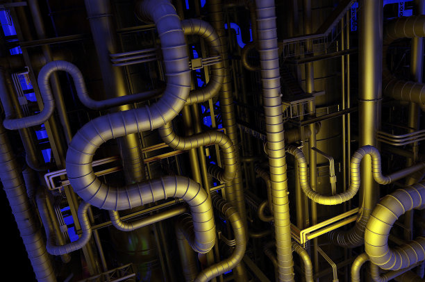 这种植物图片下载