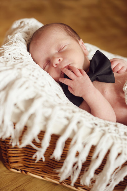 绅士在篮子里图片下载