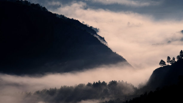多雾的早晨，森林，塔尔苏斯，梅尔辛，土耳其图片下载