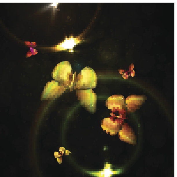 抽象的蝴蝶图片下载