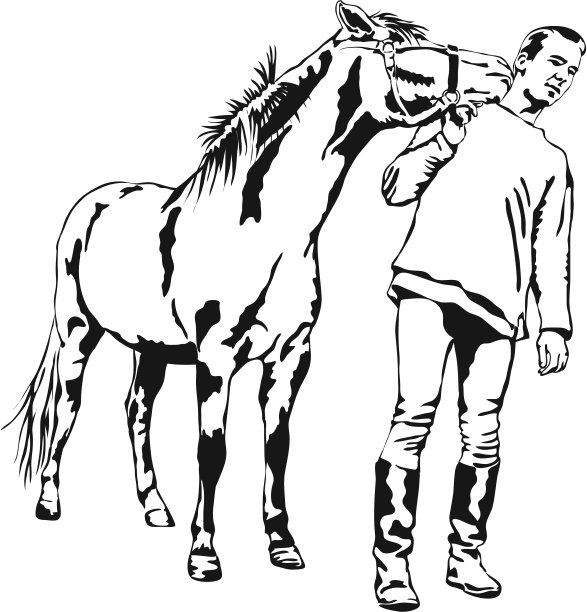 我喜欢你-小马亲吻一个年轻人图片下载