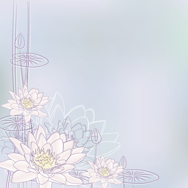 睡莲花图片下载