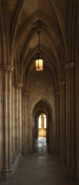 持久的光图片下载