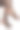 女人的腿穿黑色渔网紧身袜在白色图片下载
