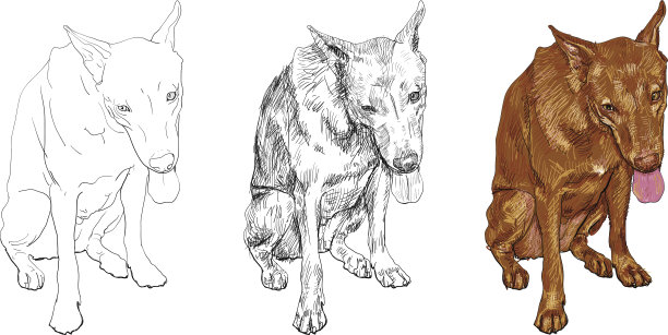 累的狗图片下载