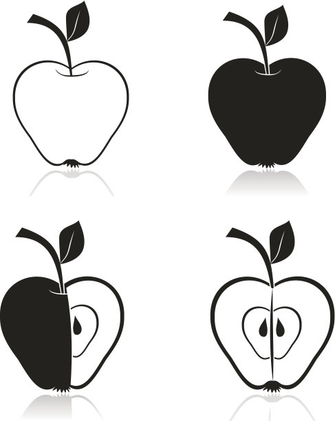 画苹果。向量。图片下载