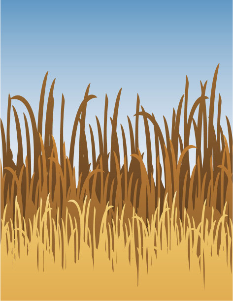 丛林草插图图片下载