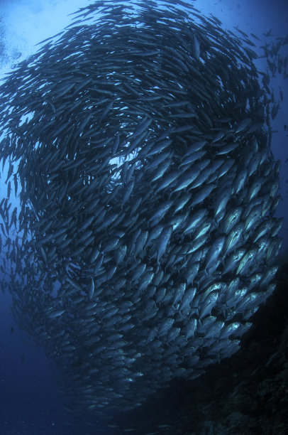 一群旋转杰克图片下载