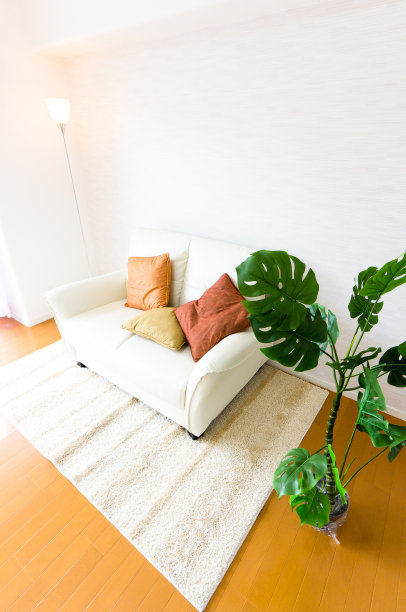 公寓的客厅图片下载